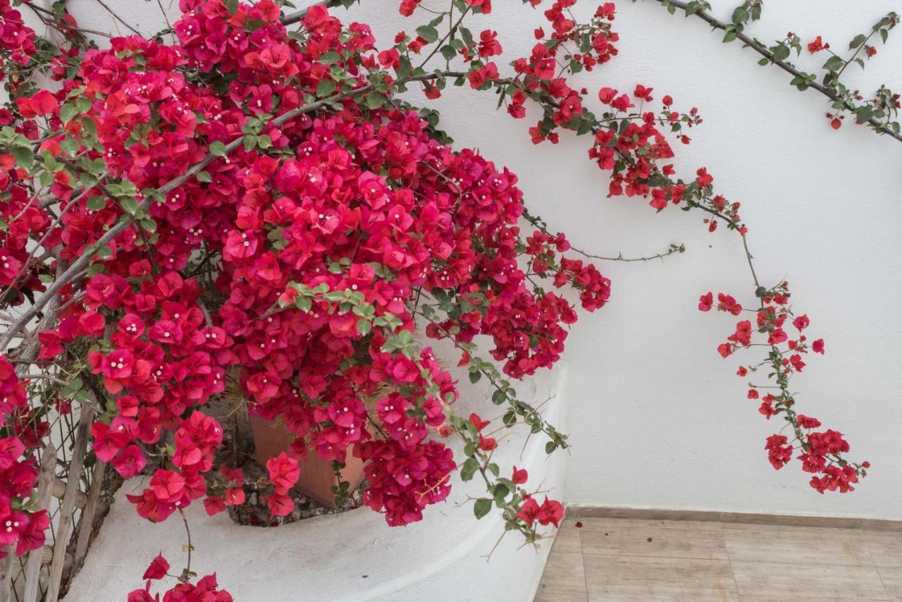 Depis Apartments & Suites Naxos City Zewnętrze zdjęcie